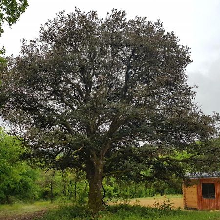 Gites Du Chene Vert Montignac-Lascaux Exterior foto