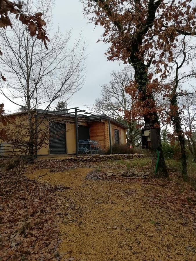 Gites Du Chene Vert Montignac-Lascaux Habitación foto