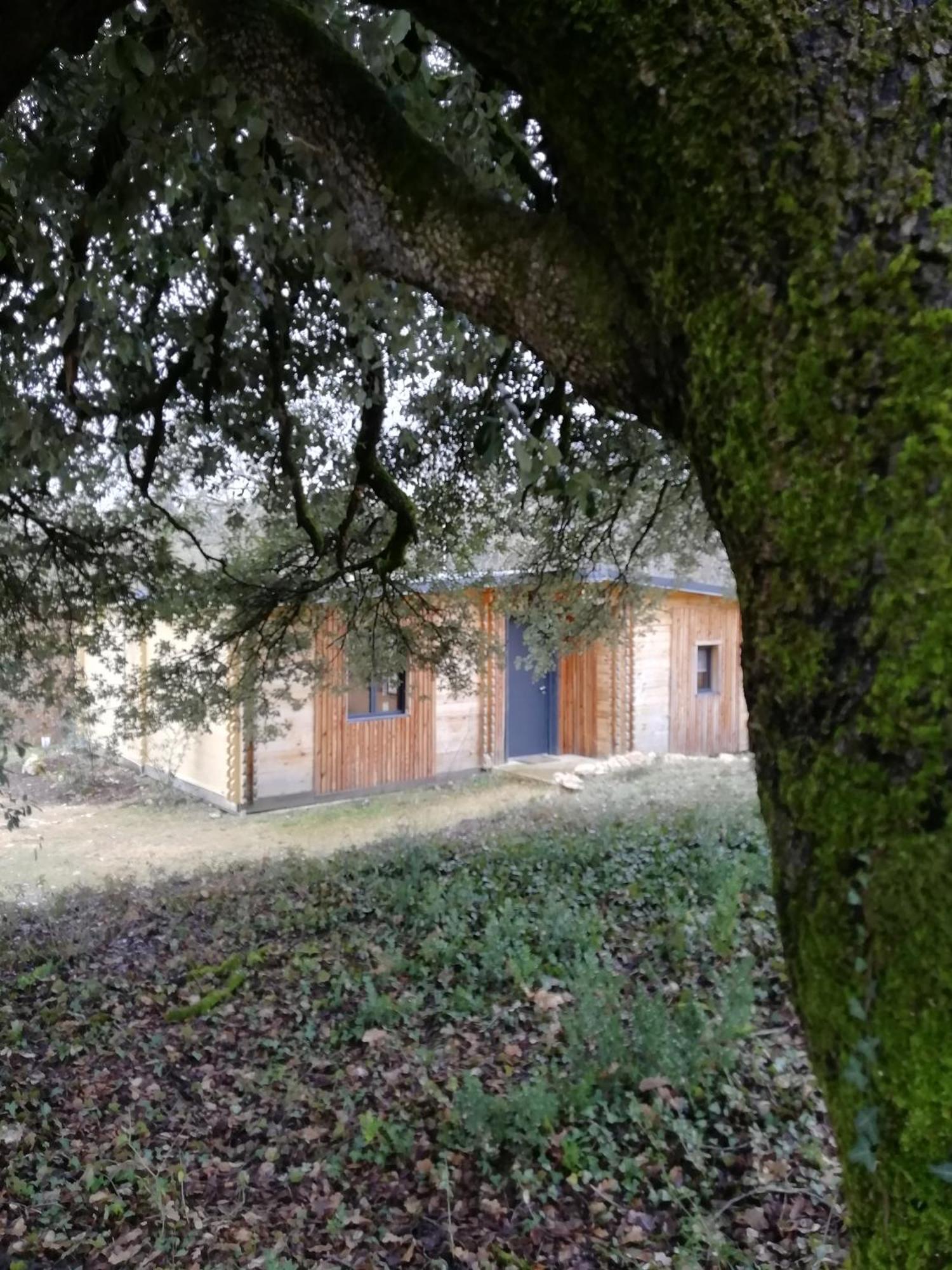 Gites Du Chene Vert Montignac-Lascaux Habitación foto