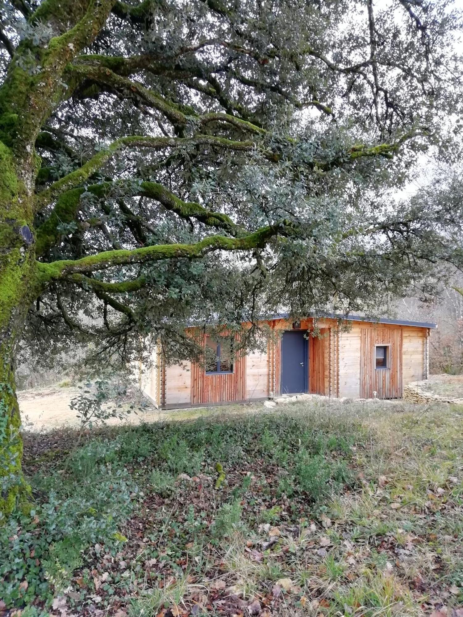 Gites Du Chene Vert Montignac-Lascaux Habitación foto
