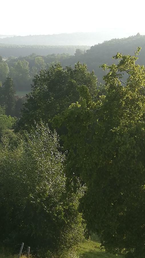 Gites Du Chene Vert Montignac-Lascaux Exterior foto