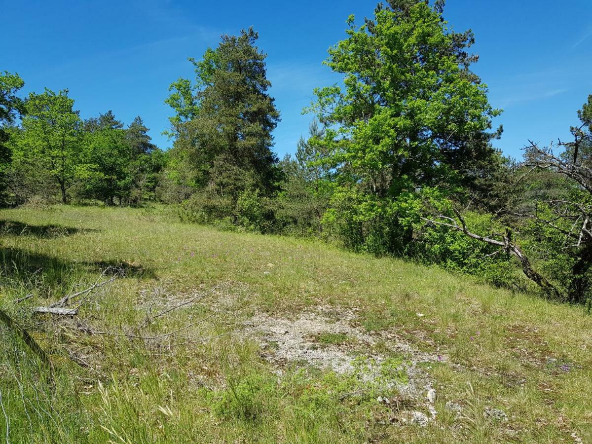 Gites Du Chene Vert Montignac-Lascaux Exterior foto